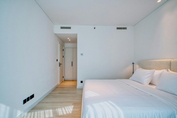 Carte de la forêt Brocéliande pour les visites : pourquoi vous devrez la télécharger ?