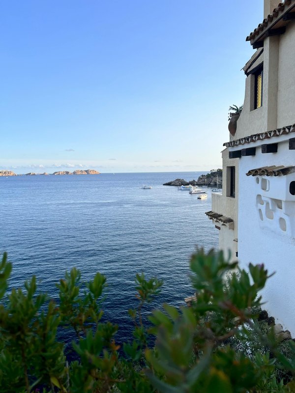 Découvrez les merveilles d'Olbia : un guide essentiel